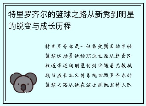 特里罗齐尔的篮球之路从新秀到明星的蜕变与成长历程